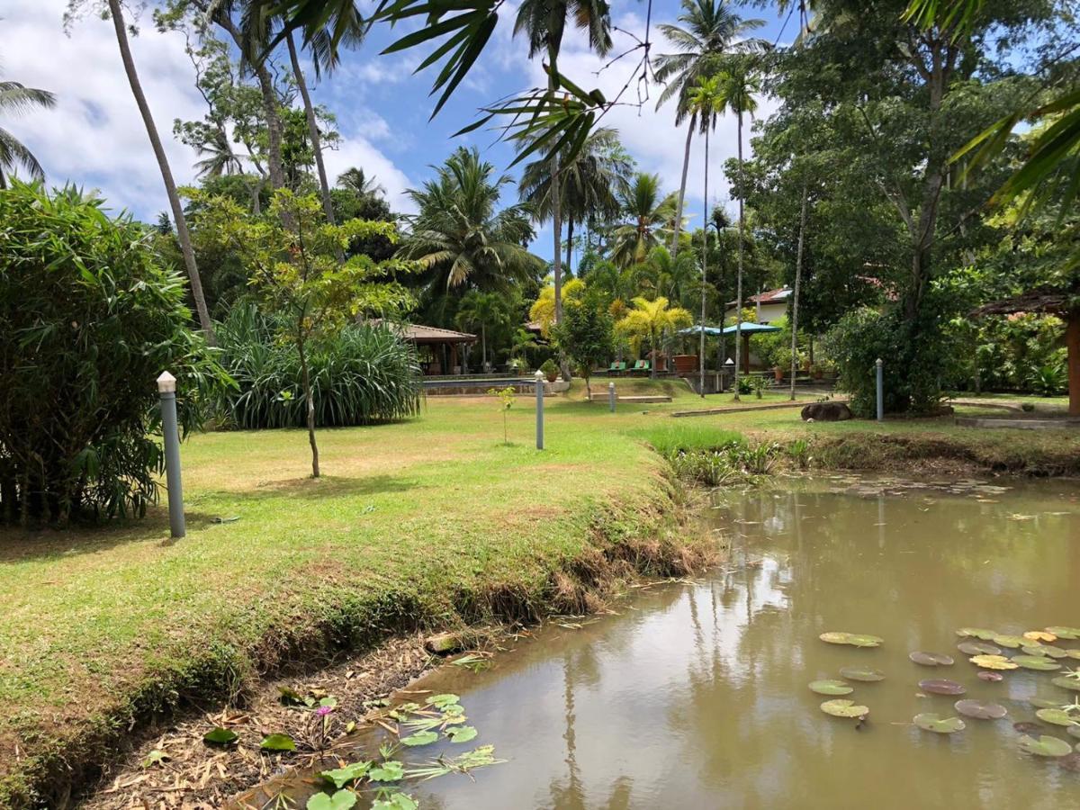 Avalon Village Resort Induruwa Exterior photo